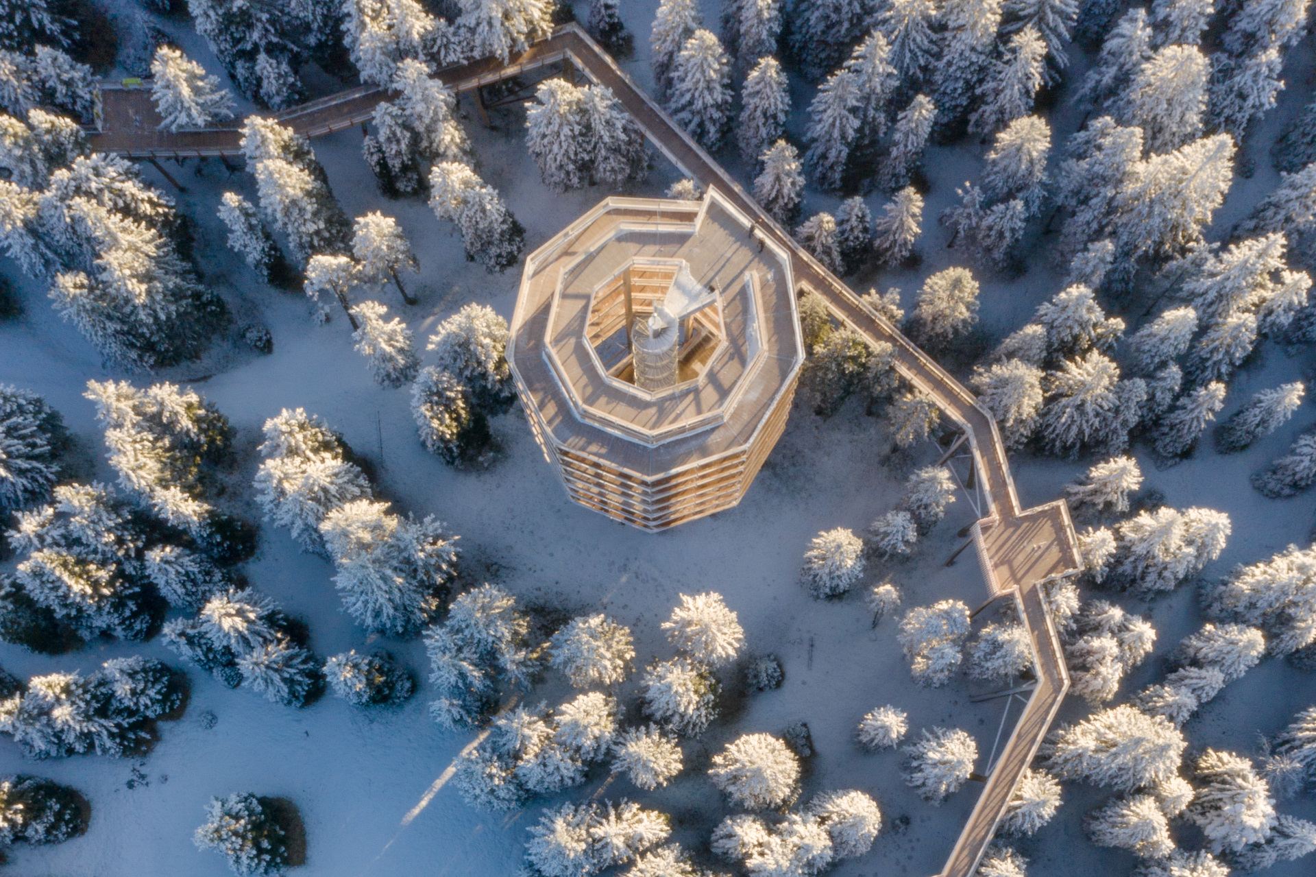 Stezka v korunách stromů, Rogla, Slovinsko